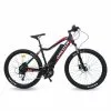 Dakota Urbanbiker E-Bike Mountainbike