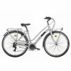 MONTANA Cityfahrrad 28 Zoll NEW Lunapiena 21-Gang Lady, Grau